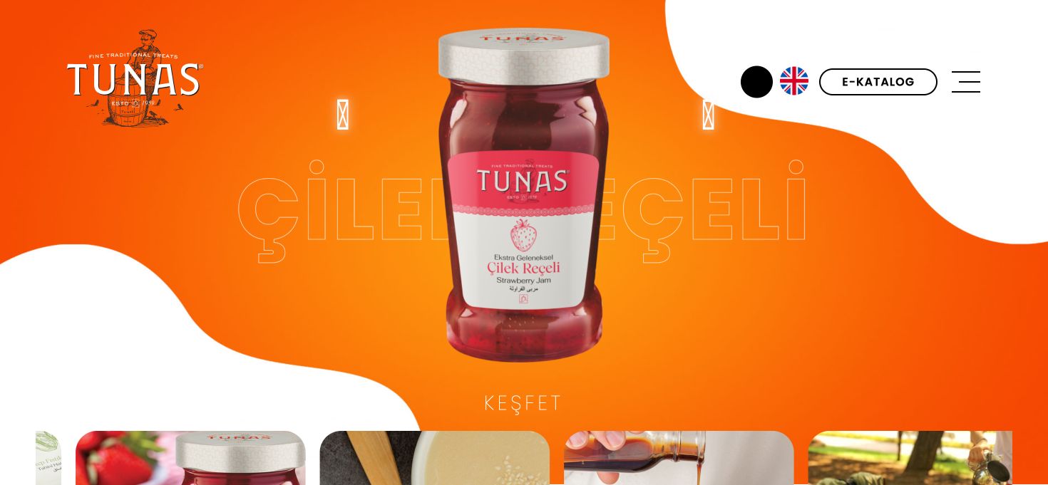 Tunaş web sitesinin gerçek arayüzü